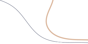 Decorative page graphic - Prime Benefit Solutions